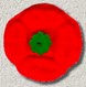 Red Poppy
